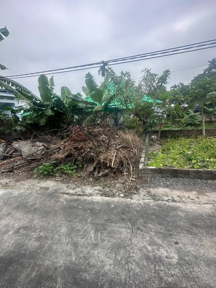 Đất nền Lê Thiện An Dương 68.5m² giá 800 triệu - Vị trí đắc địa, ô tô đỗ cửa!