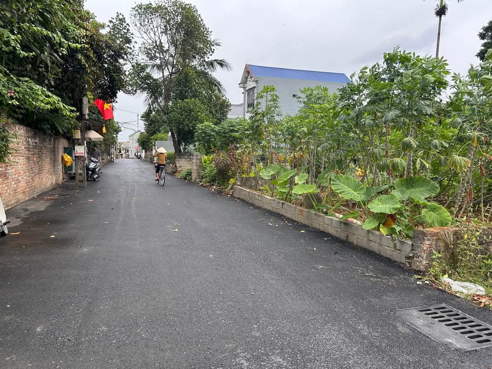 Đất nền xã Đông Yên, Quốc Oai 232m² giá 5.305 tỷ - Cơ hội đầu tư hấp dẫn!