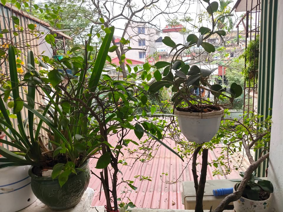 Căn hộ Tập Thể 8/3 Quỳnh Mai 40m² giá 2.69 tỷ - Nhà sạch sẽ, vào ở ngay!