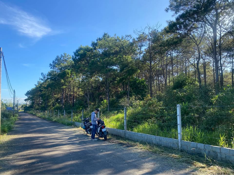 Đất thổ cư Bảo Lộc 200m² giá 2.5 tỷ - Gần rừng thông Phương Bối