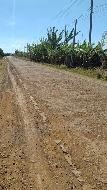 Lô rẫy 22 ha tại Bờ Ngoong, Chư Sê, Gia Lai - Sổ hồng riêng, pháp lý rõ ràng!