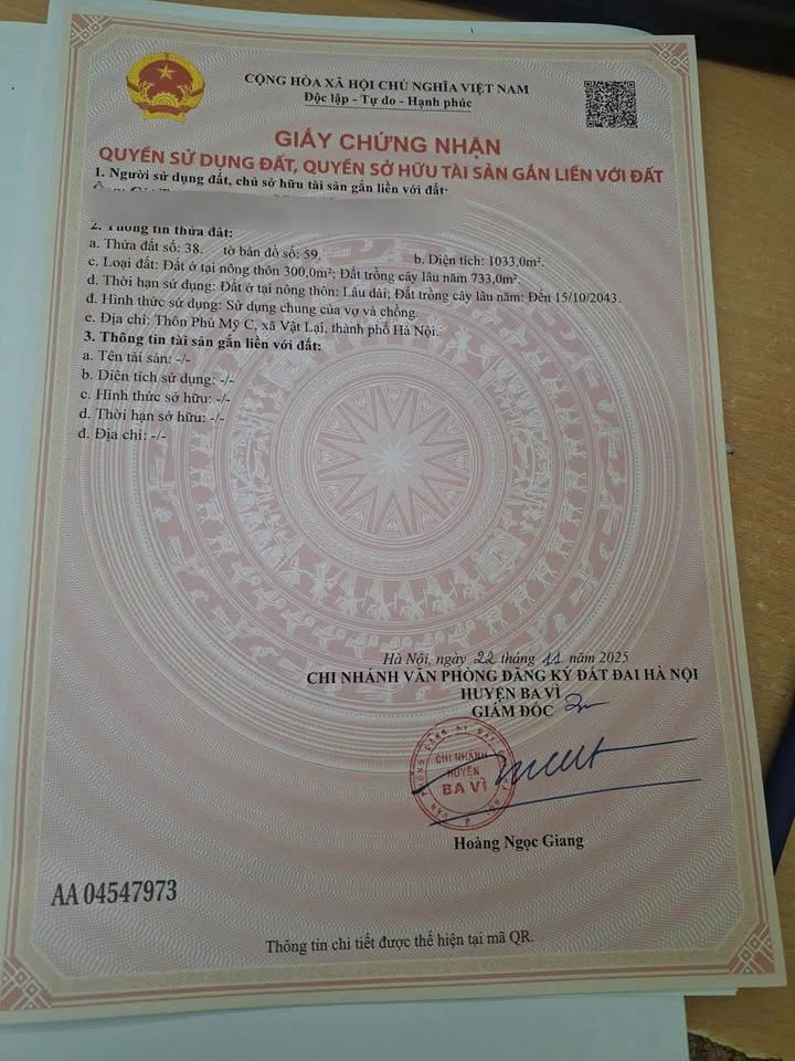 Đất lô góc Phú Mỹ, Phú Sơn 1033m² giá 40 tỷ - Tiềm năng đầu tư lớn!