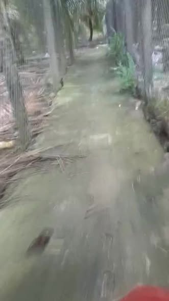 Đất nông nghiệp Chợ Gạo Tiền Giang 2850m² giá 2.15 tỷ - Cơ hội đầu tư hấp dẫn!