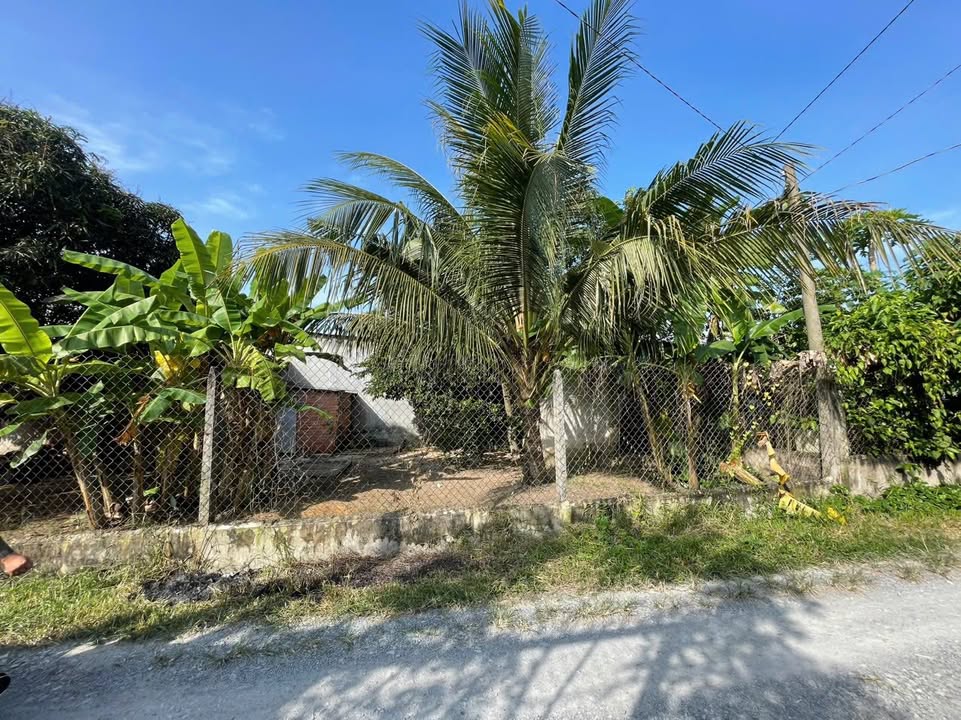 Đất nền Hòa Khánh Đông 180m² giá 1.39 tỷ - Đường xe ô tô đến nơi!