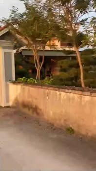 Đất thổ cư thôn 11 Hải Xuân 80m² giá chỉ 7xx triệu - Cơ hội đầu tư hấp dẫn!