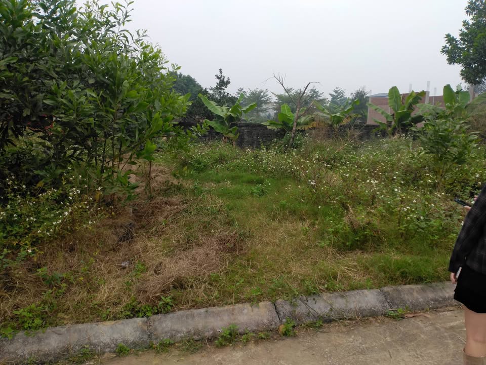 Đất nền Bình Yên Thạch Thất 84m² giá 2 tỷ - Đầu tư sinh lời tiềm năng!