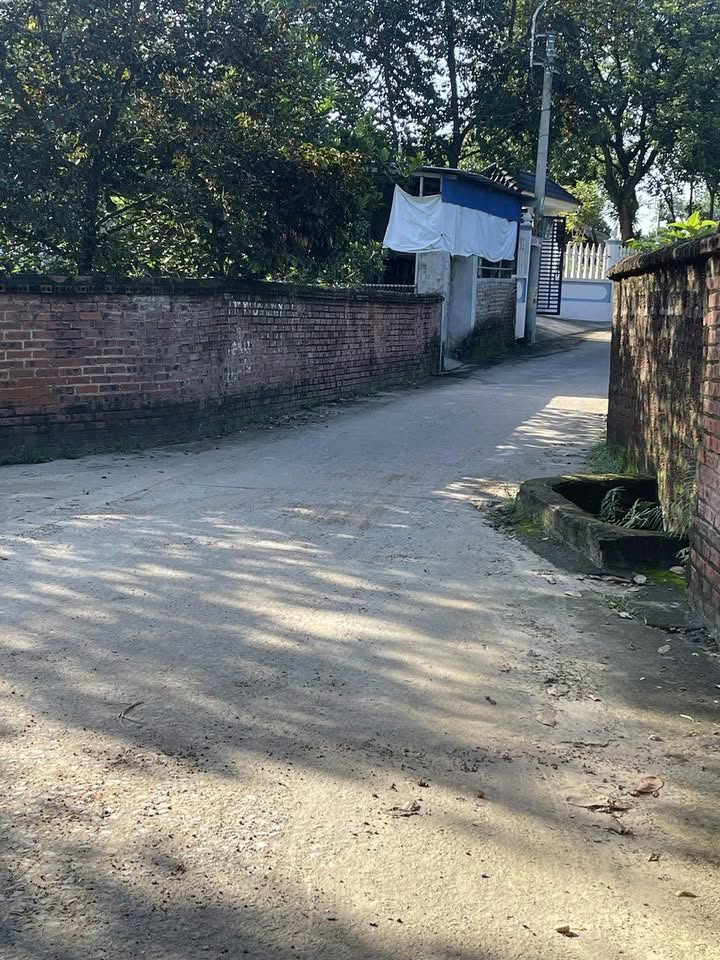 Đất nền lô góc Cổ Liễn 253m² giá 1x triệu - Đầu tư sinh lời ngay!