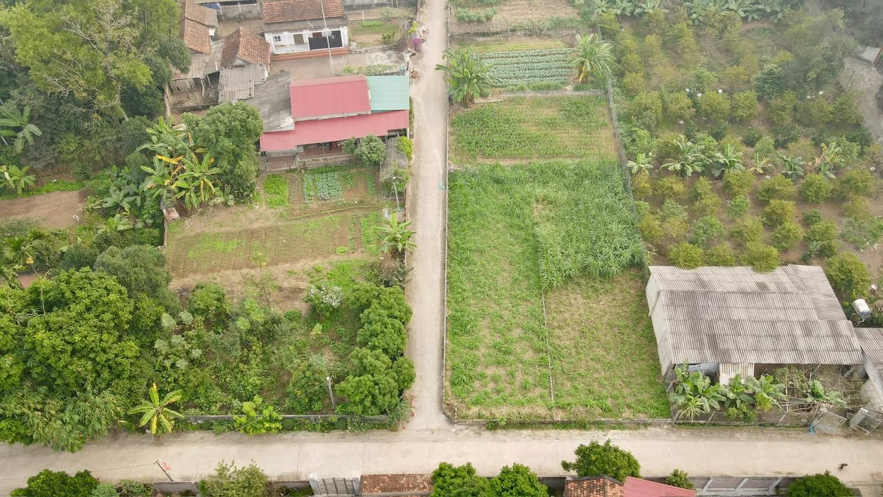 Đất nền Bất Bạt, Ba Vì 250m² giá chỉ 1 tỷ - Lô góc 2 mặt tiền trục chính!