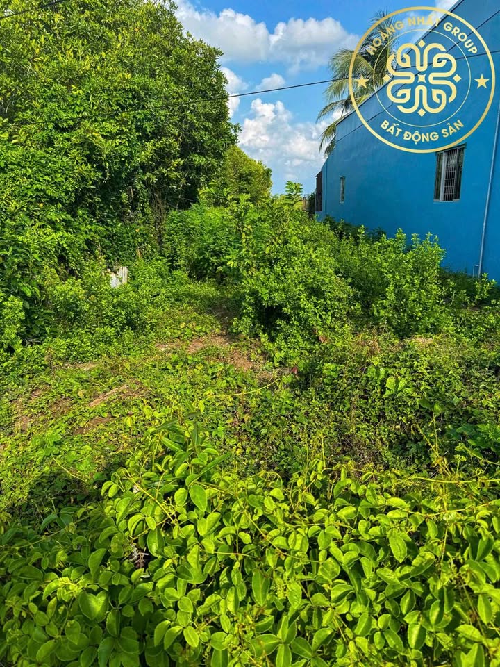 Đất nền Định Thành, Đông Hải, Bạc Liêu 480m² giá 430 triệu - View kênh thoáng mát!