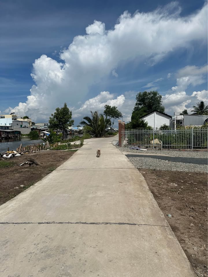 Đất trồng cây lâu năm phường 8 Cà Mau 200m² giá 850 triệu - Vị trí đẹp, dân cư đông đúc!