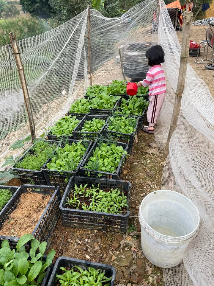 Đất nghỉ dưỡng Liên Sơn 1700m² giá chỉ 2 tỷ - Cơ hội đầu tư tuyệt vời!