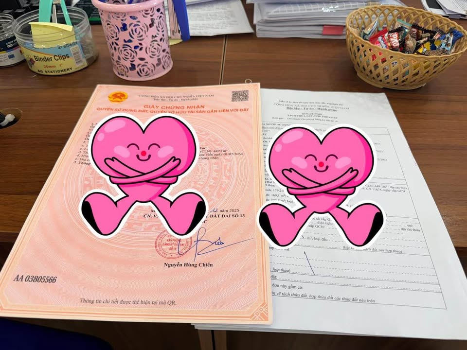 Đất vàng 250m² tại phường Móng Cái 3 - Giá thỏa thuận, hỗ trợ toàn diện!