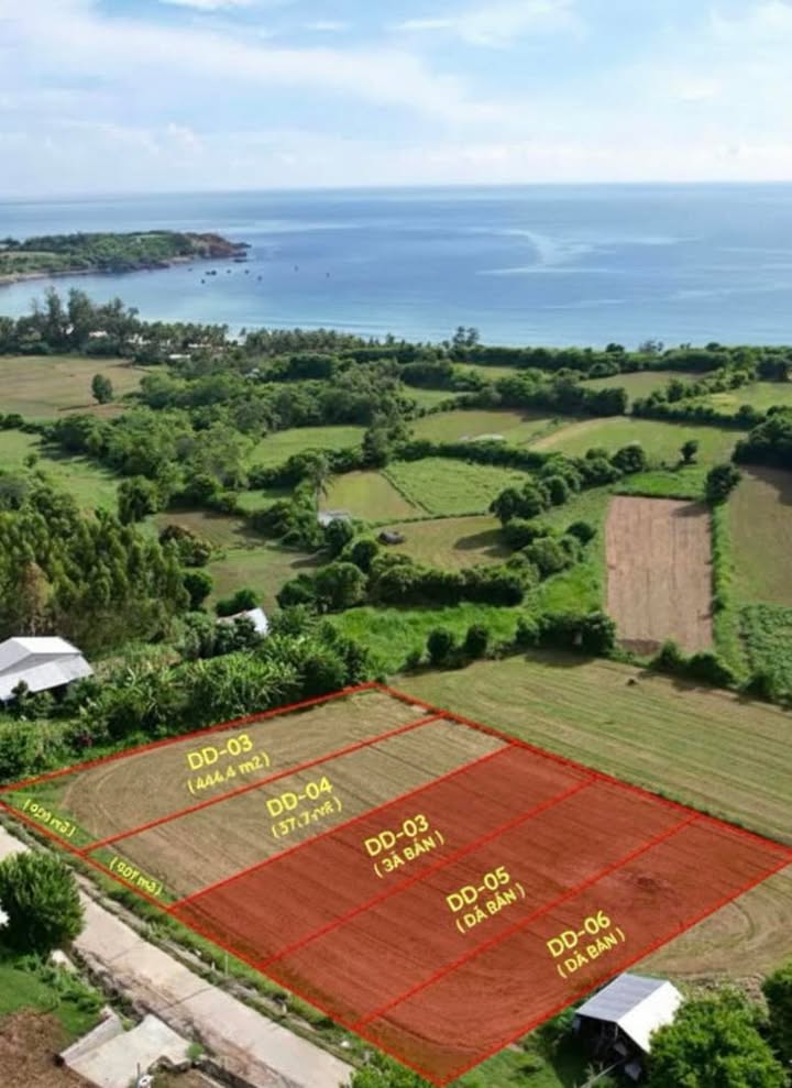 Lô đất chính chủ tại An Ninh Đông, Tuy An, Phú Yên 400m² giá 6,8 triệu - Đầu tư sinh lời ngay!