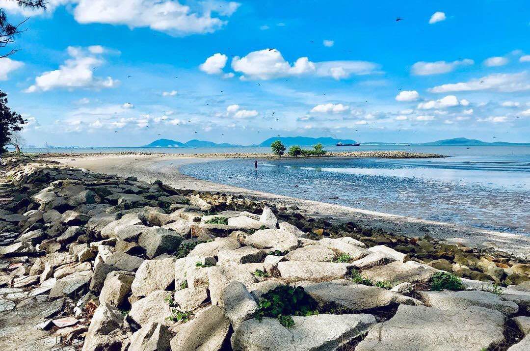 Đất nền Cần Giờ 4.644m² giá 117 tỷ - Cơ hội đầu tư sinh lời hấp dẫn!