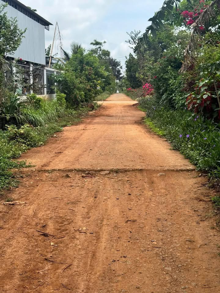 Đất nền Cư Huê, Ea Kar 546m² giá 31.2 tỷ - Cơ hội đầu tư hiếm có!