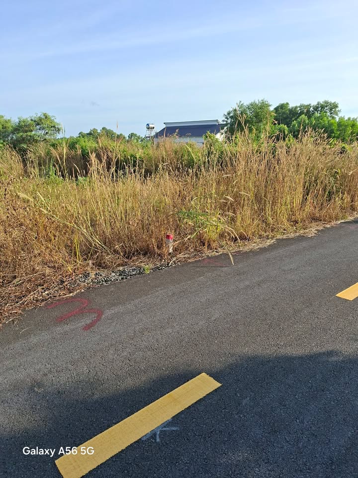 Đất nền Phước Tân, Xuyên Mộc 1200m² giá 700 triệu - Sổ đỏ chính chủ, xây nhà ngay!