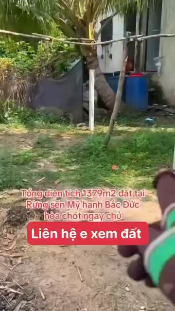 Đất nền đẹp tại Mỹ Hạnh Bắc, Đức Hòa, Long An 1379m² chỉ 950 triệu - Cơ hội đầu tư tuyệt vời!