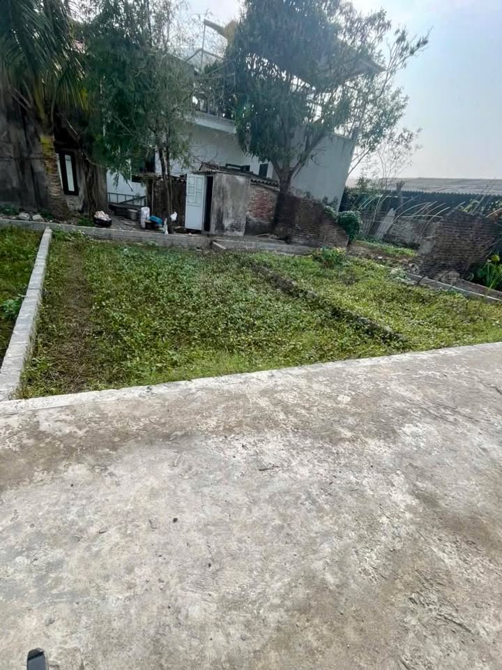 Đất nền An Lãng - Văn Tự - Thường Tín 45m² giá 2 tỷ - Sổ đỏ chính chủ, ô tô vào tận nơi!