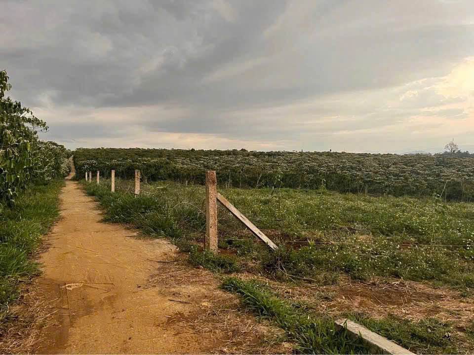 Đất nền Lộc An, Bảo Lâm 360m² giá 750 triệu - Đất bằng đẹp mê ly!