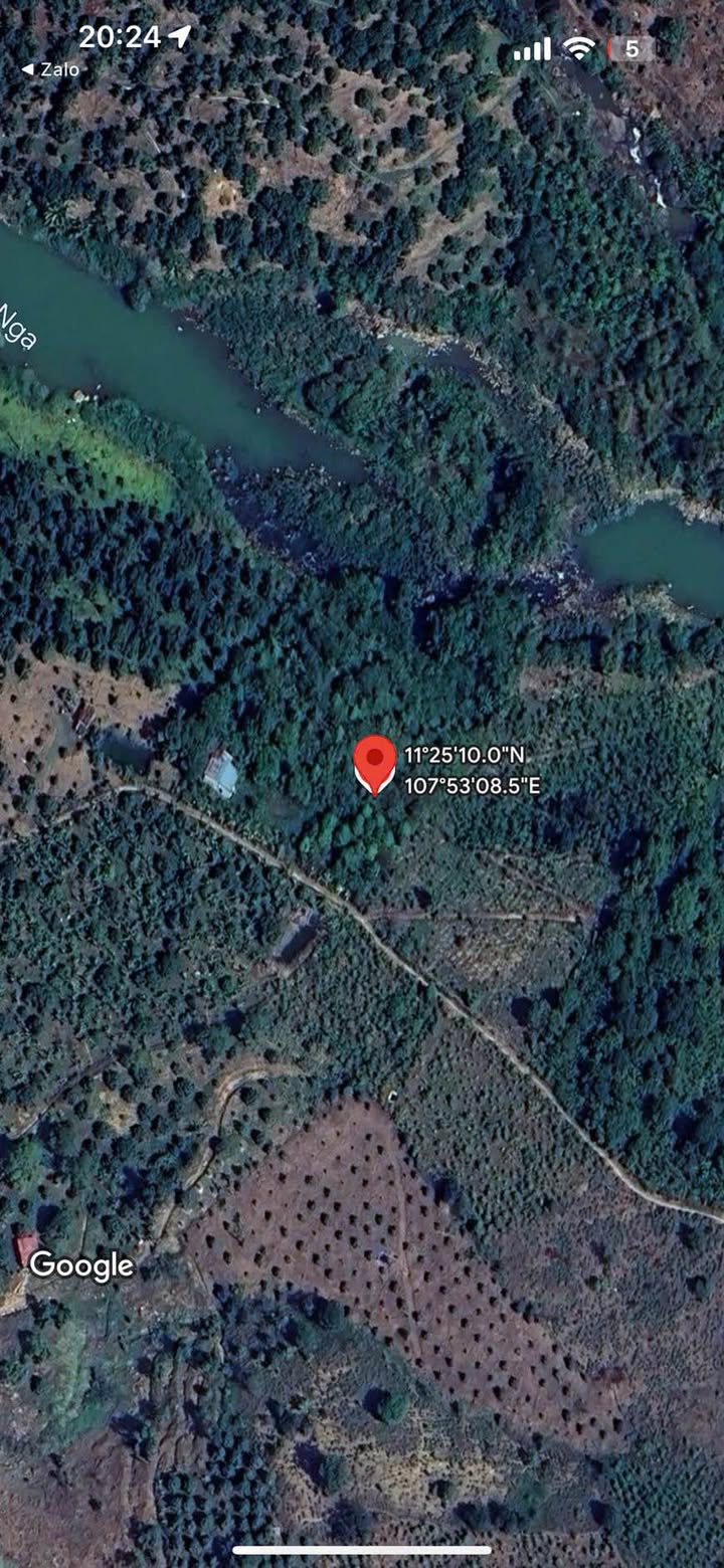 Đất thổ cư Lộc Nam, Bảo Lâm, 62353m² giá chỉ 1.541 tỷ - Cơ hội đầu tư sinh lời!