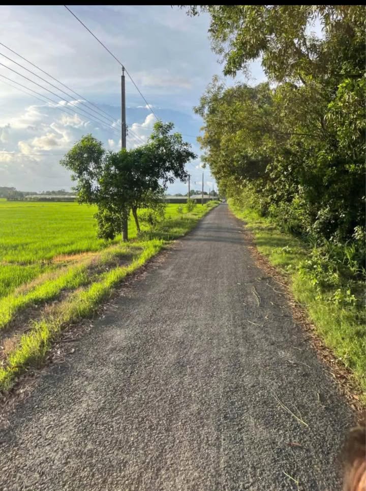 Nhà tiền chế mới xây tại Hòa Lợi, Châu Thành, Trà Vinh - Chỉ 400 triệu, thương lượng ngay!