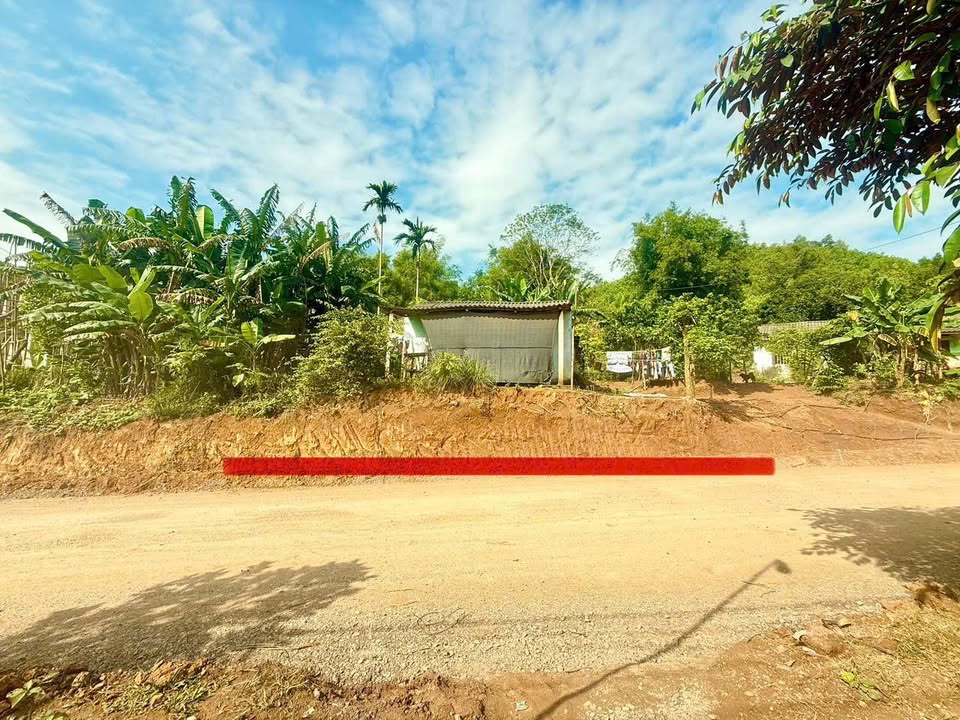 Đất thổ cư Suối Hoa 207m² giá 600 triệu - Cơ hội đầu tư hấp dẫn!