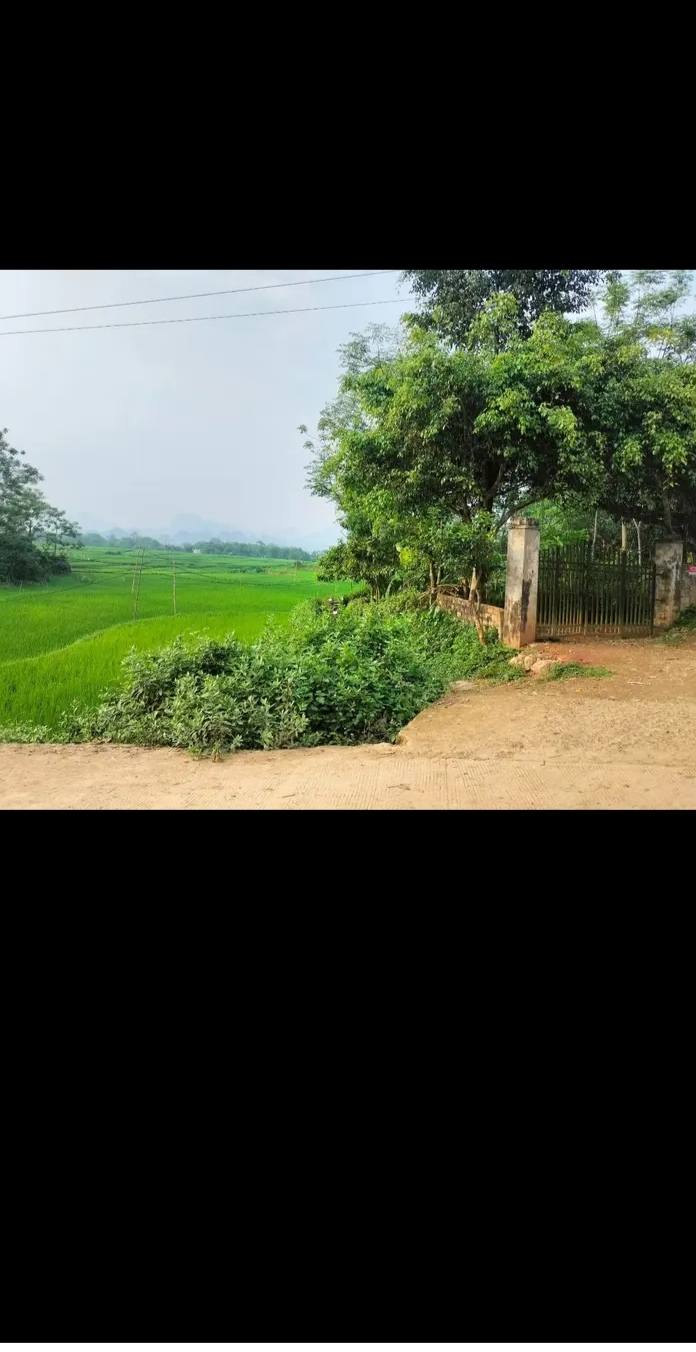 Đất nền Phú Cường Tân Lạc 1000m² giá 500 triệu - Sổ hồng chính chủ