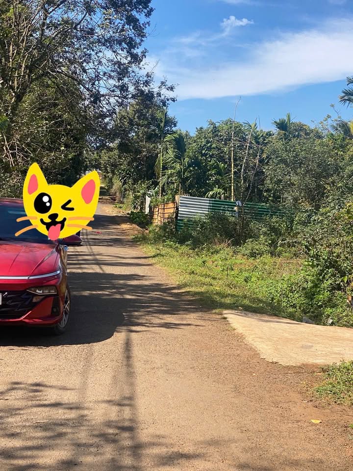 Lô đất thổ cư 500m² tại buôn Komleo, xã Hòa Thắng, giá 2.15 tỷ - Đầu tư sinh lời ngay!