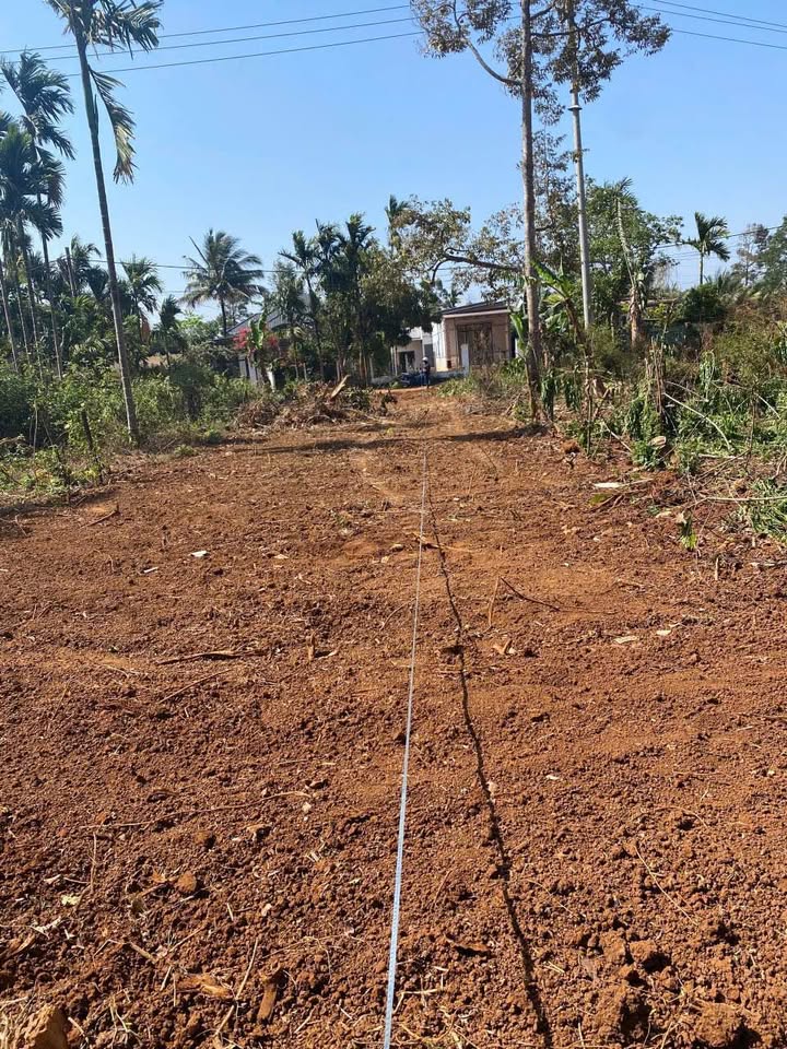 Nhà mặt tiền Liên Doanh 2, Phường Tân An, 205m² giá 1.6 tỷ - Đường rộng 20m thuận tiện kinh doanh!