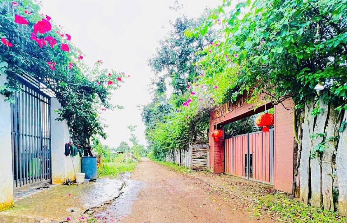 Lô đất Tân Lập Buôn Ma Thuột 250m² giá 1.19 tỷ - Đất thổ cư chính chủ