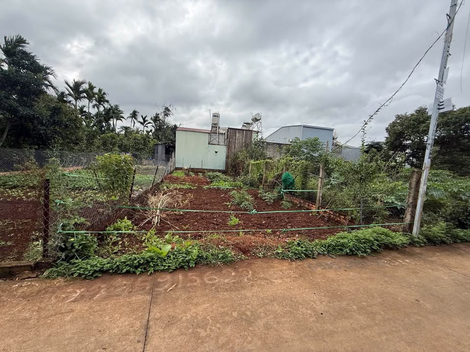 Đất hẻm đường Thế Lữ, Phường Tân Hòa 120m² giá 1.68 tỷ - Vị trí đẹp, đầu tư sinh lời!