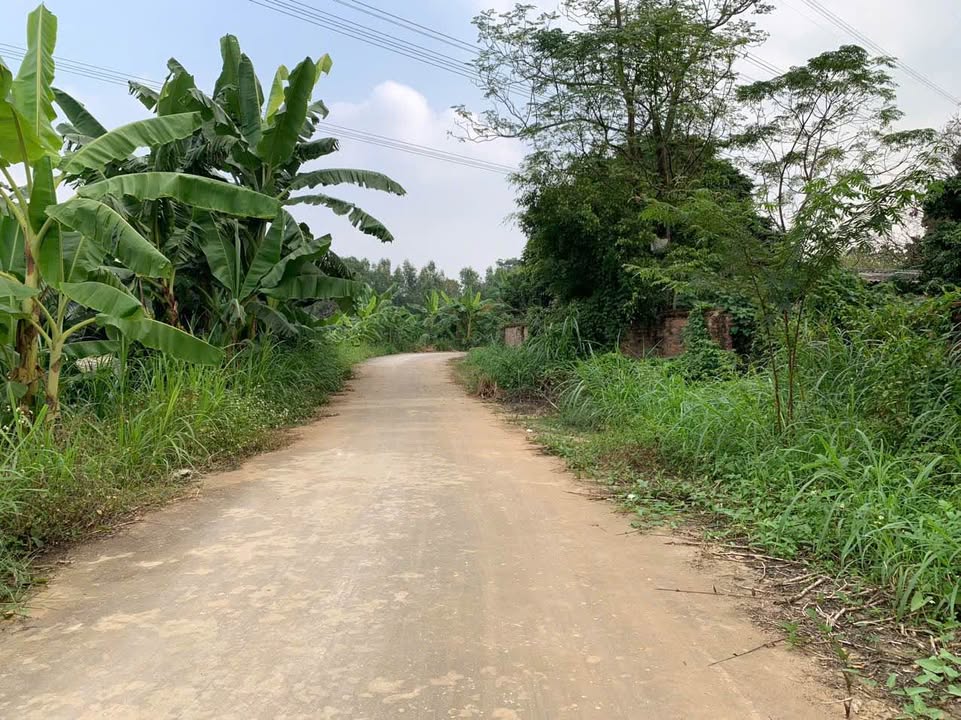 Đất nền Khu 4 An Đạo 157m² giá 1 tỷ - Đầu tư sinh lời ngay!