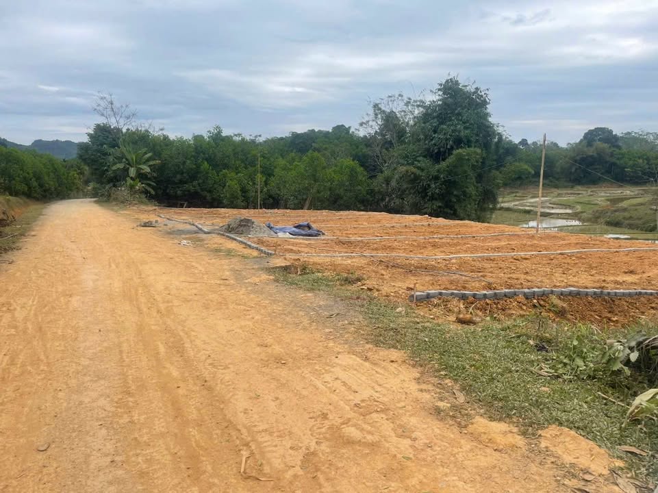 Đất thổ cư 120m² tại Điền Quang, Bá Thước chỉ 150 triệu - Cơ hội đầu tư tuyệt vời!