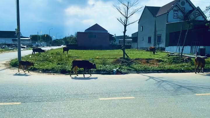 Đất nền Kỳ Long, Kỳ Anh 425m² - Lô góc 2 mặt tiền, thích hợp kinh doanh!