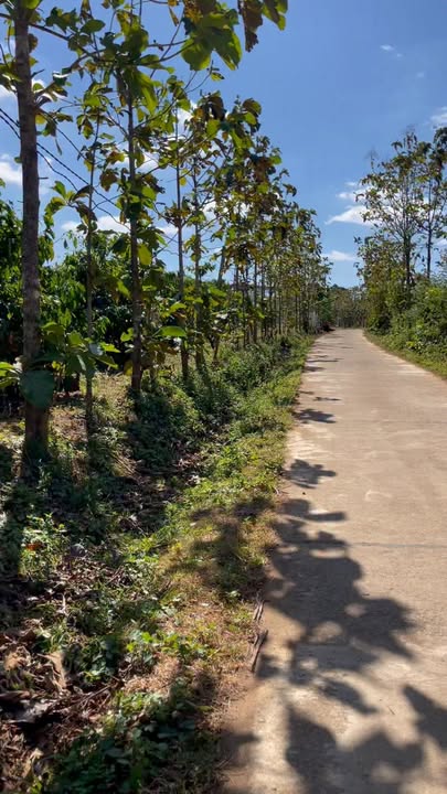 Đất thổ cư 1000m² tại xã Ea Wy, huyện Ea H'leo - Giá chỉ 500 triệu