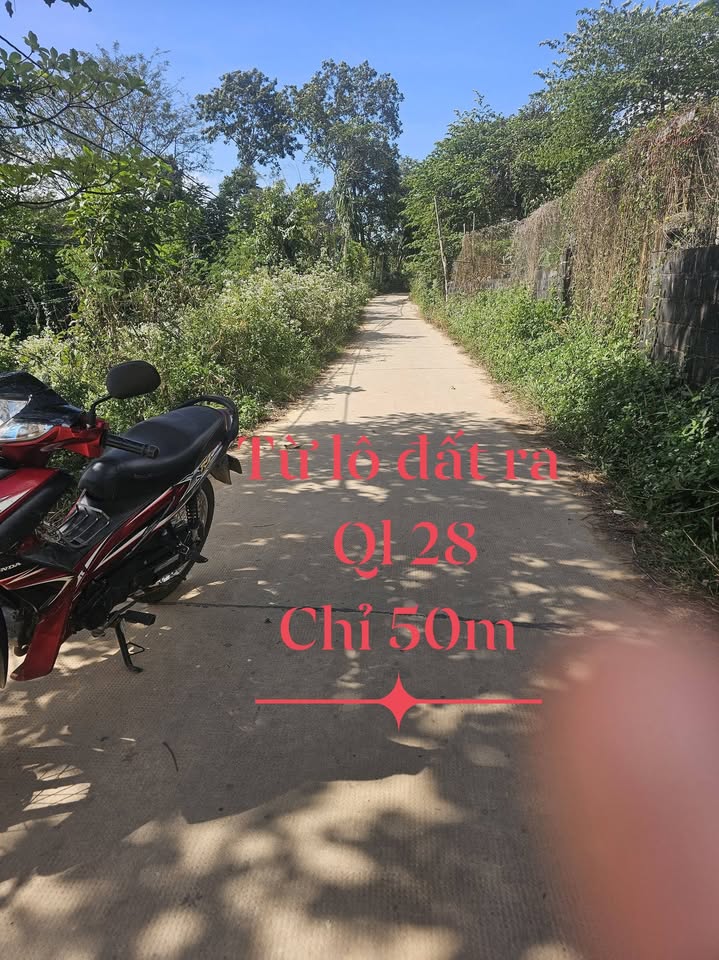 Đất nền 210m² xã Nam Đà, Đắk Nông giá 390 triệu - Cơ hội đầu tư hấp dẫn!