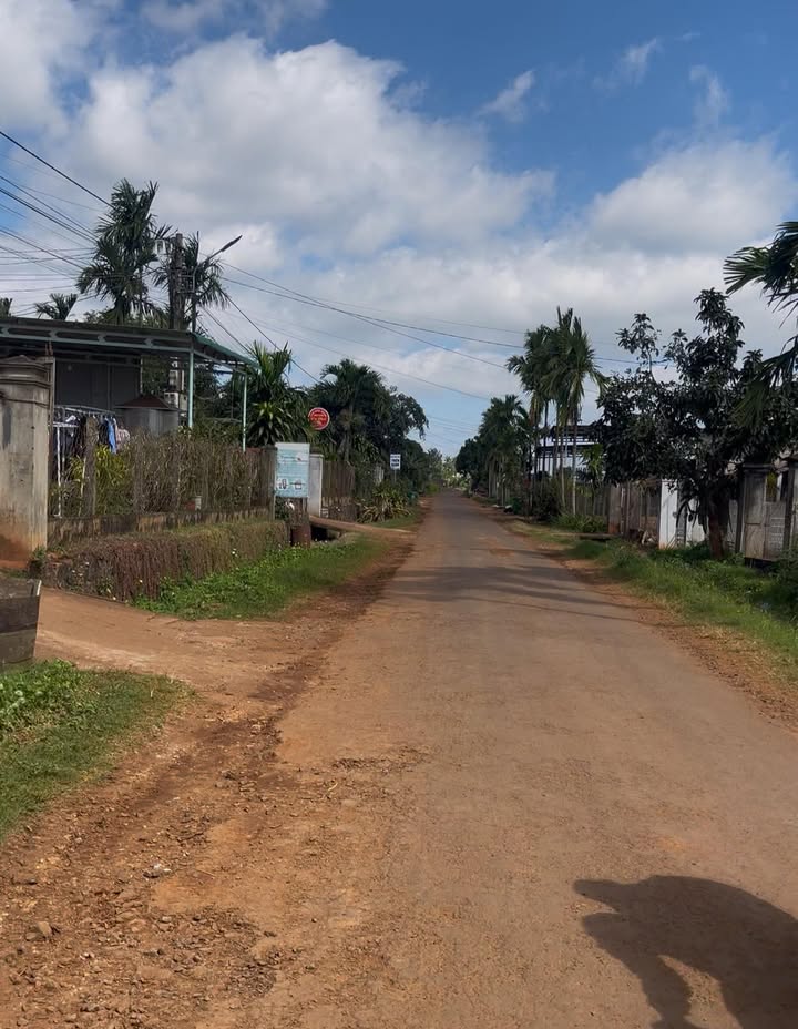 Đất thổ cư 100% mặt tiền đường Hàm Nghi, Buôn Hồ 950m² - Cơ hội đầu tư hấp dẫn!