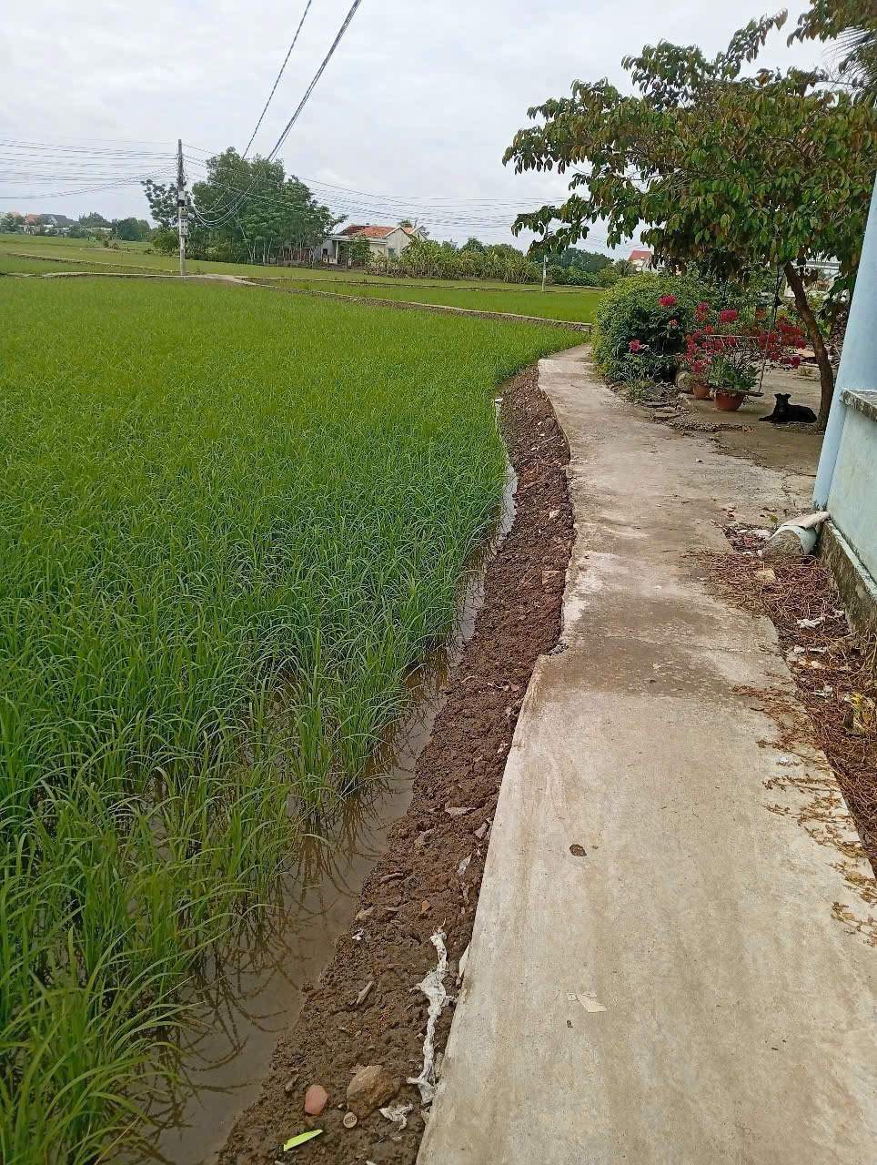 Đất vườn 500m² xã Phước Đông chỉ 650 triệu - Đầu tư sinh lời ngay!