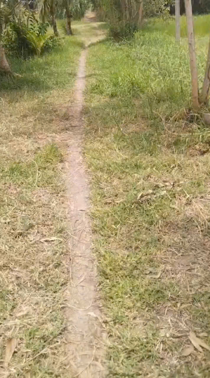 Đất thổ cư xã Mỹ Thạnh Tây, Đức Huệ 4077m² giá 4.5 tỷ - Cơ hội đầu tư hấp dẫn!