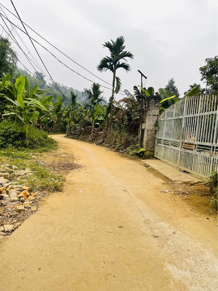 Trang trại mini tại Thôn Tát, Cam Đường, Lào Cai 860m² - Đường ô tô vào tận nơi!