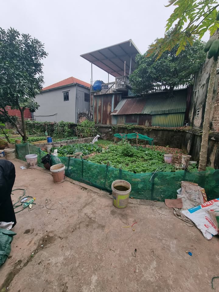 Nhà riêng Thường Tín 47m² giá 2.15 tỷ - Đường ô tô tránh, vị trí thuận lợi!