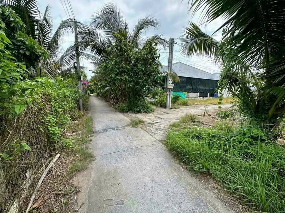 Nhà riêng Phường 5, Vĩnh Long 177,9m² giá 1.4 tỷ - Tiềm năng đầu tư cao!