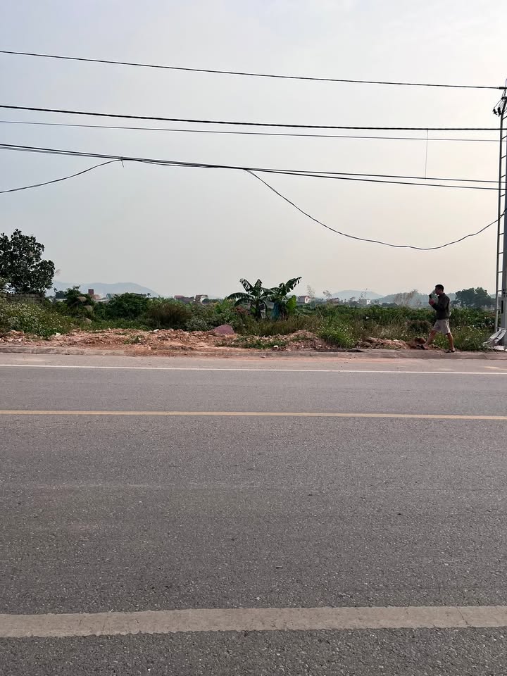 Đất mặt tiền 295B, Việt Yên, Bắc Giang 120m² giá 2 tỷ - Cơ hội đầu tư hấp dẫn!