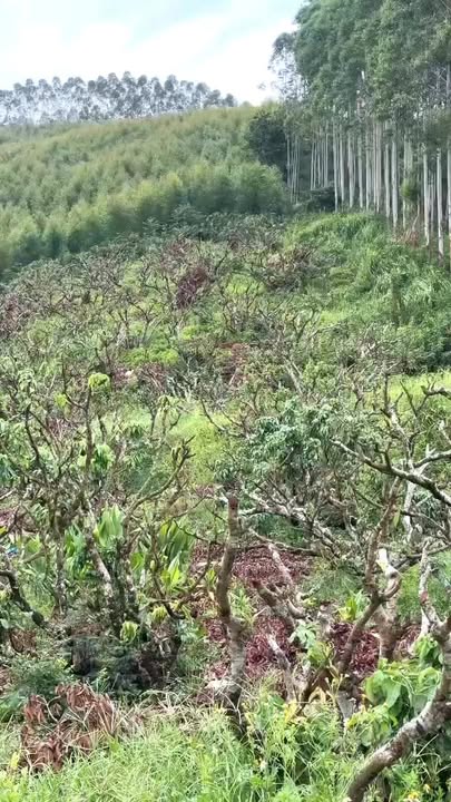 Đất vườn Nam Dương 2300m² giá 1 tỷ - Cơ hội đầu tư dài hạn