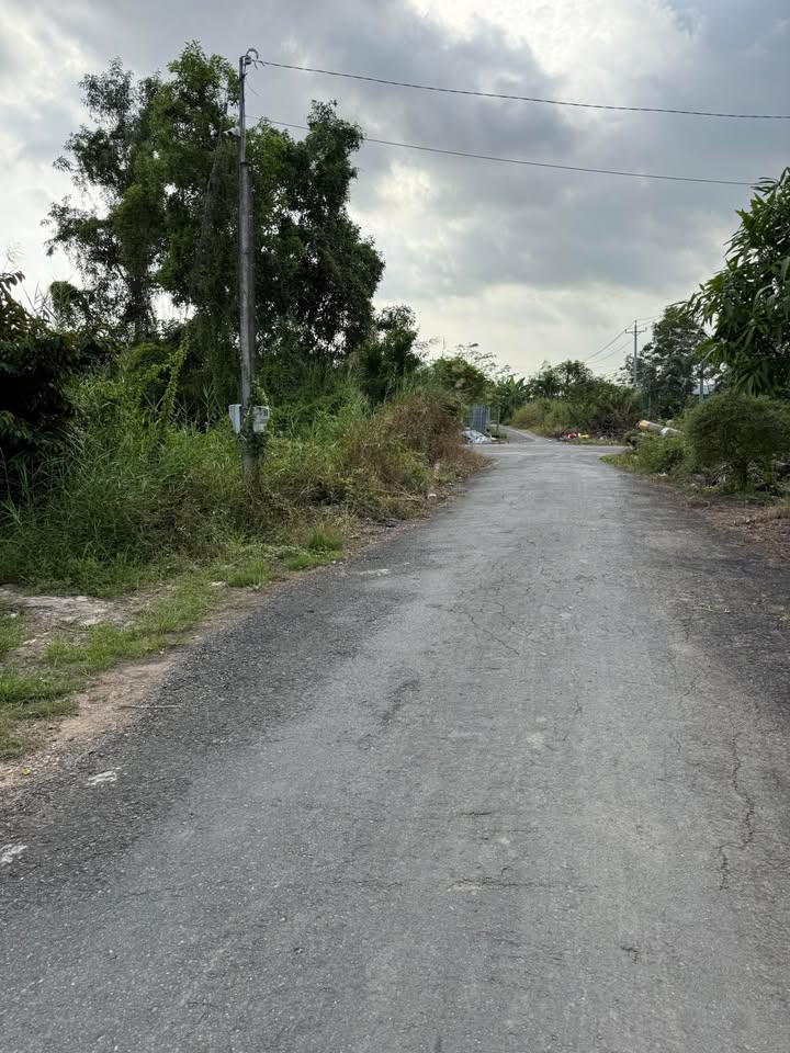 Đất thổ cư Vĩnh Lợi 150m² giá 350 triệu - Cơ hội đầu tư hấp dẫn!