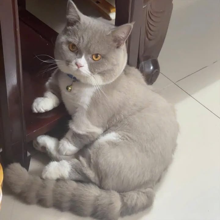 Phòng trọ khép kín tại 45 Đông Thiên, Vĩnh Hưng - Thang máy tiện lợi, giá thỏa thuận