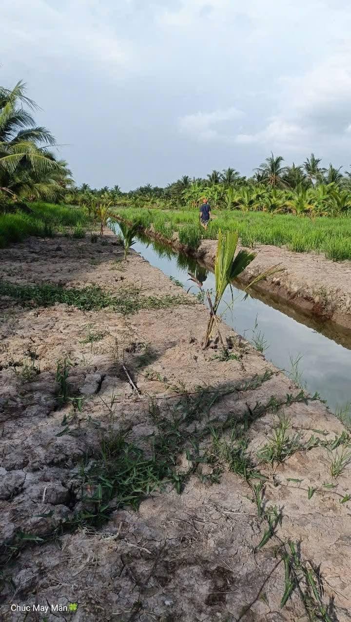 Đất 1 công 9 tại xã Mỹ Chánh Hòa, Bến Tre - Ngang 20m, giá 450 triệu - Đầu tư lý tưởng!