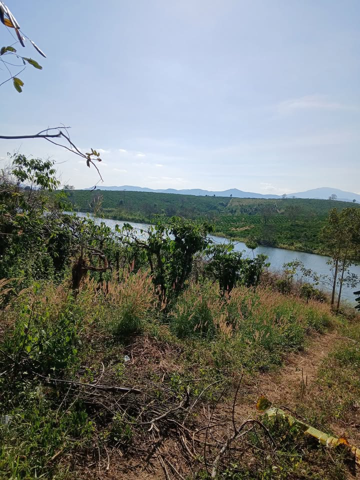 Đất nền Đăk Mar, Đăk Hà 3700m² giá 500 triệu - Sổ đỏ chính chủ, gần hồ thủy điện!