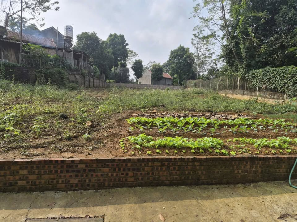 Lô đất Ba Trại, Ba Vì 775m² - Gần tỉnh lộ 86, giá thỏa thuận!