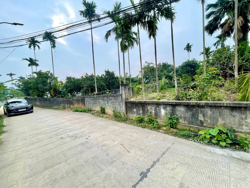 Đất nền Yên Mông, Hòa Bình 250m² giá thương lượng - Sổ đỏ chính chủ